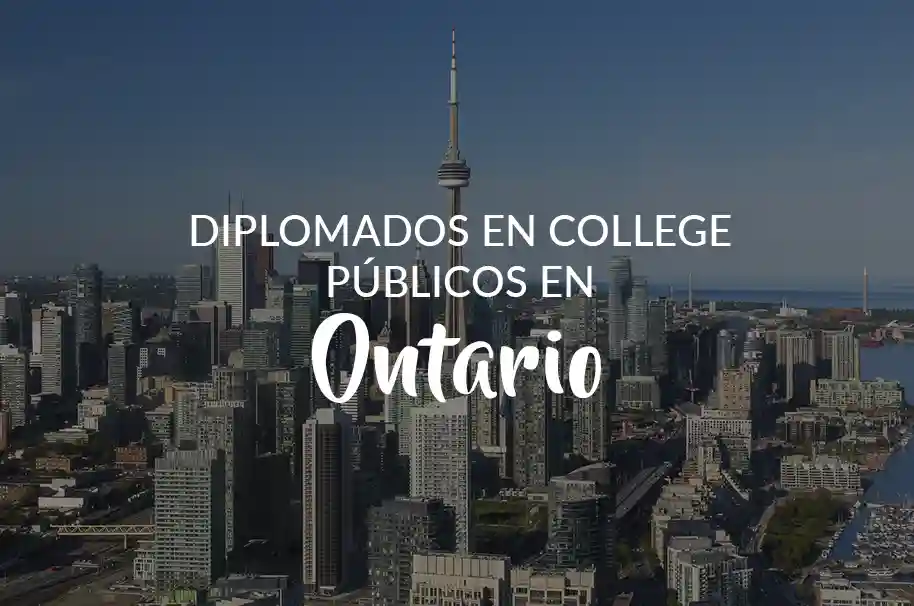 Edificios de Toronto, la CN tower en el centro. Texto: Diplomados en College Públicos en Ontario
