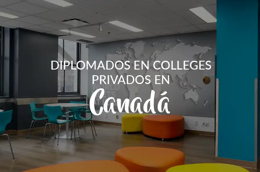 Salon de reuniones moderno. Diplomados en college privados