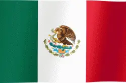 Bandera mexicana. Al hacer click en ella, lleva a una pagina sobre como Revalidar en México estudios realizados en España o en el extranjero