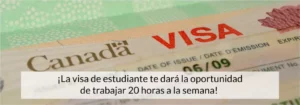 Imagen de una visa canadiense. Texto sobre imagen: "La visa de estudiante te dará la oportunidad de trabajar 20 horas a la semana"