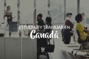 Jovenes estudiando y trabajando en oficina de Canada